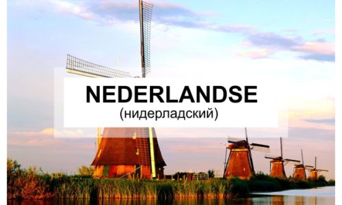 Курсы нидерландского языка
